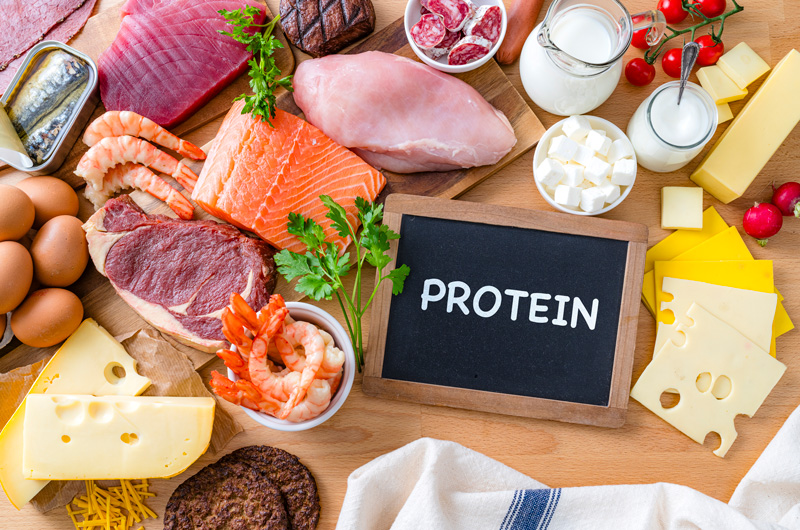 Protein sources