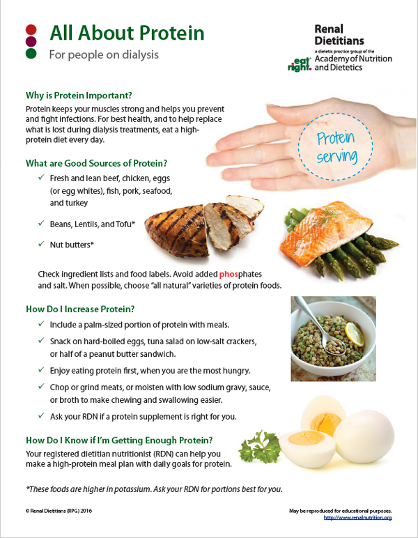 All About Protein PDF
