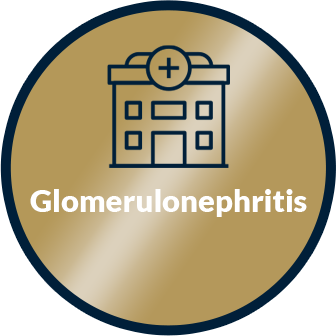 Glomerulonephritis page link