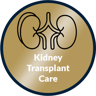 Kidney Transplant page link